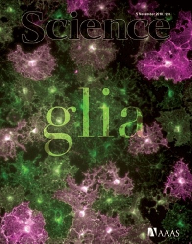 Обложка книги Science Magazine 2010-11-05