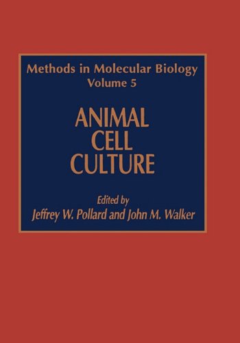 Обложка книги Animal Cell Culture (Methods in Molecular Biology Vol 5)