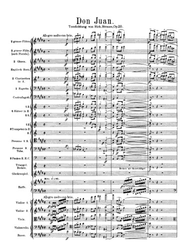 Обложка книги Don Juan: Tondichtung (nach Nicolaus Lenau) für grosses Orchester, Op. 20