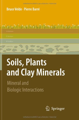 Обложка книги Soils, Plants and Clay Minerals: Mineral and Biologic Interactions