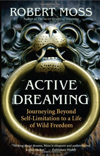 Обложка книги Active Dreaming: Journeying Beyond Self-Limitation to a Life of Wild Freedom