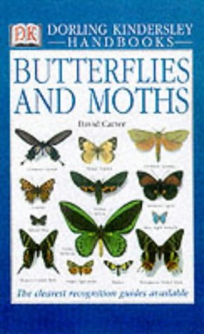 Обложка книги Butterflies and Moths (DK Handbooks)