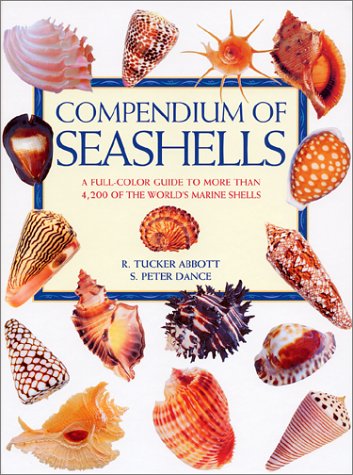 Обложка книги Compendium of Seashells