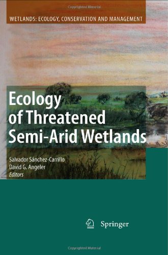 Обложка книги Ecology of Threatened Semi-Arid Wetlands: Long-Term Research in Las Tablas de Daimiel