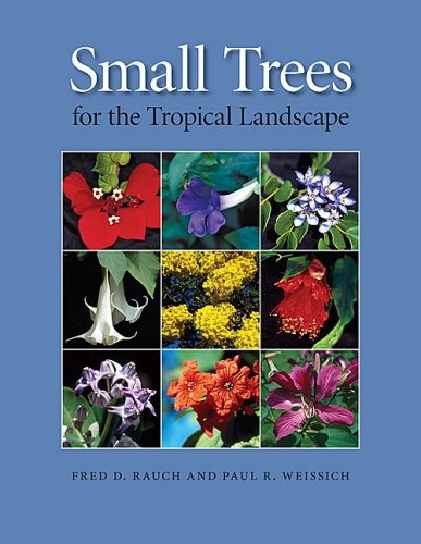 Обложка книги Small Trees for the Tropical Landscape