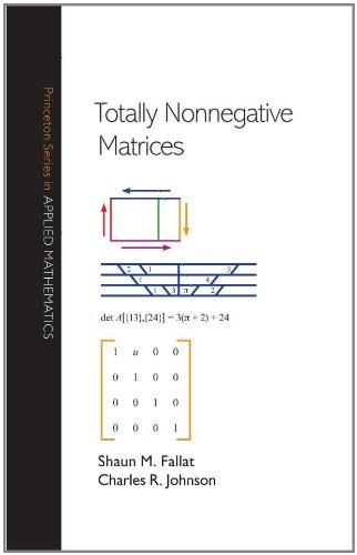 Обложка книги Totally Nonnegative Matrices (Princeton Series in Applied Mathematics)
