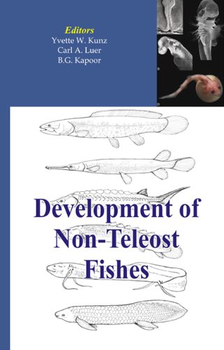 Обложка книги Development of Non-teleost Fishes