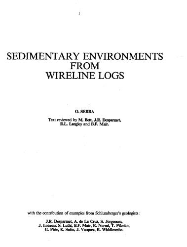 Обложка книги Sedimentary environments from wireline logs