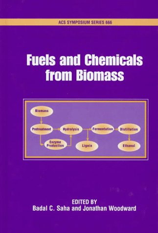 Обложка книги Fuels and Chemicals from Biomass (Acs Symposium Series)