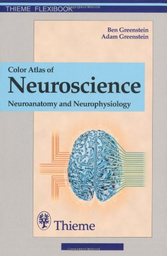 Обложка книги Color Atlas of Neuroscience - Neuroanatomy and Neurophysiology