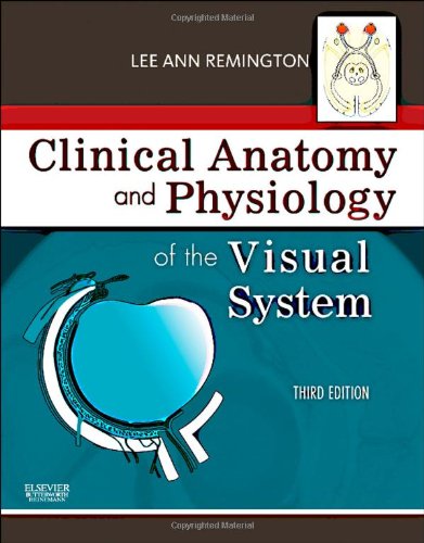 Обложка книги Clinical Anatomy and Physiology of the Visual System, Third Edition  