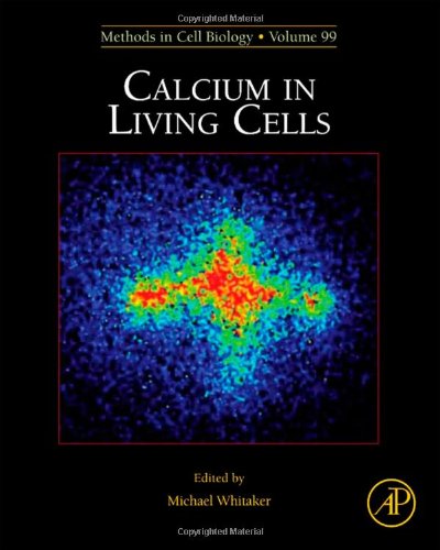 Обложка книги Calcium in Living Cells, Volume 99, Second Edition (Methods in Cell Biology)  