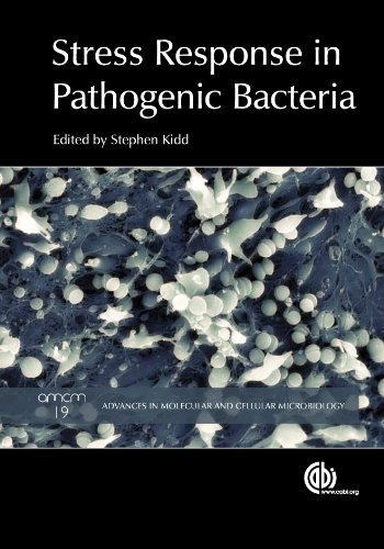 Обложка книги Stress Response in Pathogenic Bacteria (Advances in Molecular and Cellular Biology Series)  