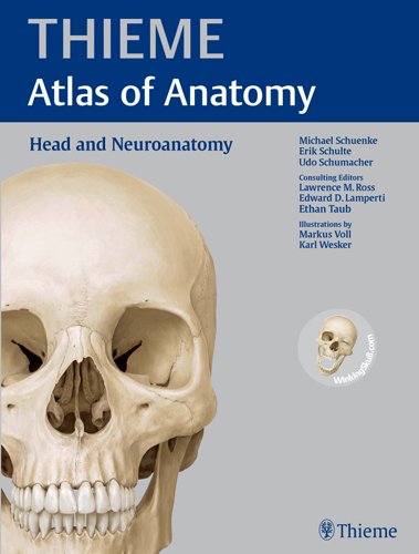 Обложка книги Head and Neuroanatomy (THIEME Atlas of Anatomy)  