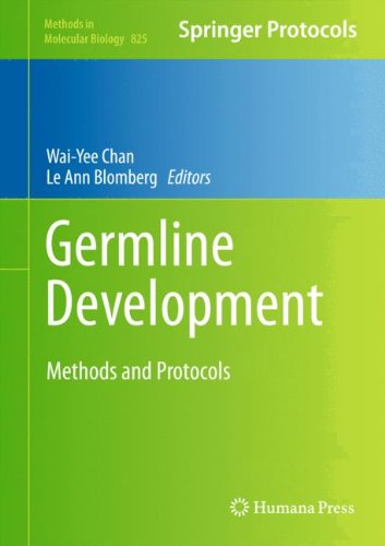 Обложка книги Germline Development: Methods and Protocols (Methods in Molecular Biology, v825)  