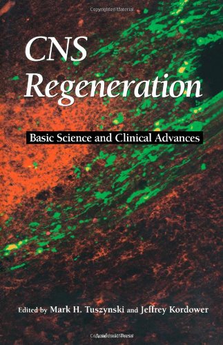 Обложка книги CNS Regeneration: Basic Science and Clinical Advances  