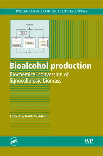 Обложка книги Bioalcohol production: biochemical conversion of lignocellulosic biomass  