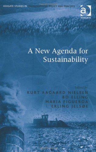 Обложка книги A New Agenda for Sustainability (Ashgate Studies in Environmental Policy and Practice)  