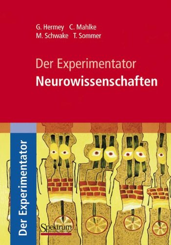 Обложка книги Der Experimentator: Neurowissenschaften 