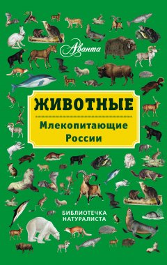Обложка книги Барский театр
