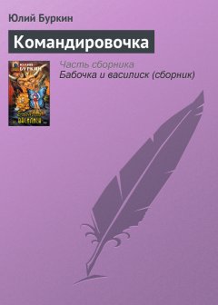 Обложка книги Командировочка
