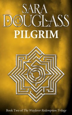 Обложка книги Douglass, Sara - Wayfarer Redemption 02 - Pilgrim