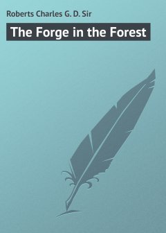 Обложка книги Forge in the Forest
