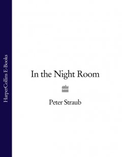 Обложка книги Peter Straub - In The Night Room(V1)