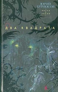 Обложка книги Юрий Бурносов. Два квадрата (Числа и знаки - 1)