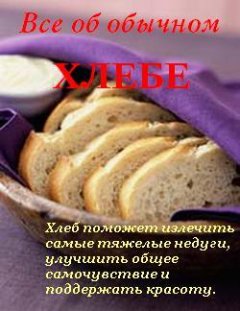 Обложка книги Иван Дубровин. Все об обычном хлебе 