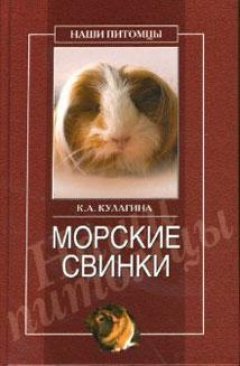 Обложка книги Морские свинки
