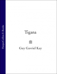 Обложка книги Tigana