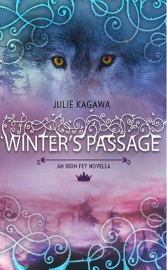 Обложка книги Winter's Passage
